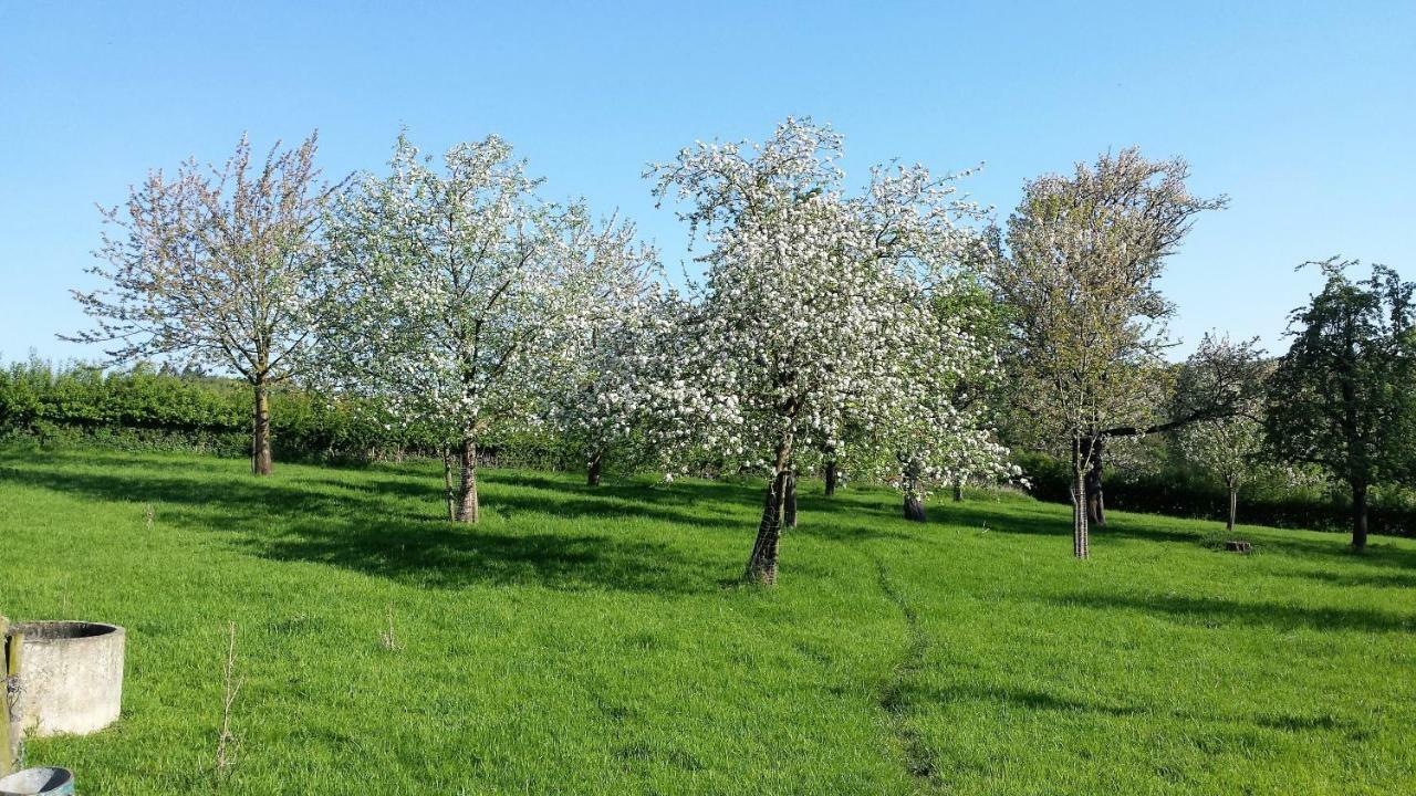 Hoeve Schevey Μεσελέν Εξωτερικό φωτογραφία